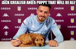 Puppy memes