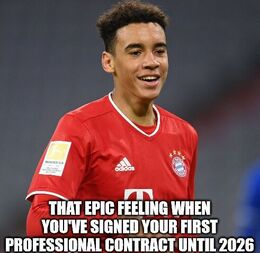 Professional contract memes